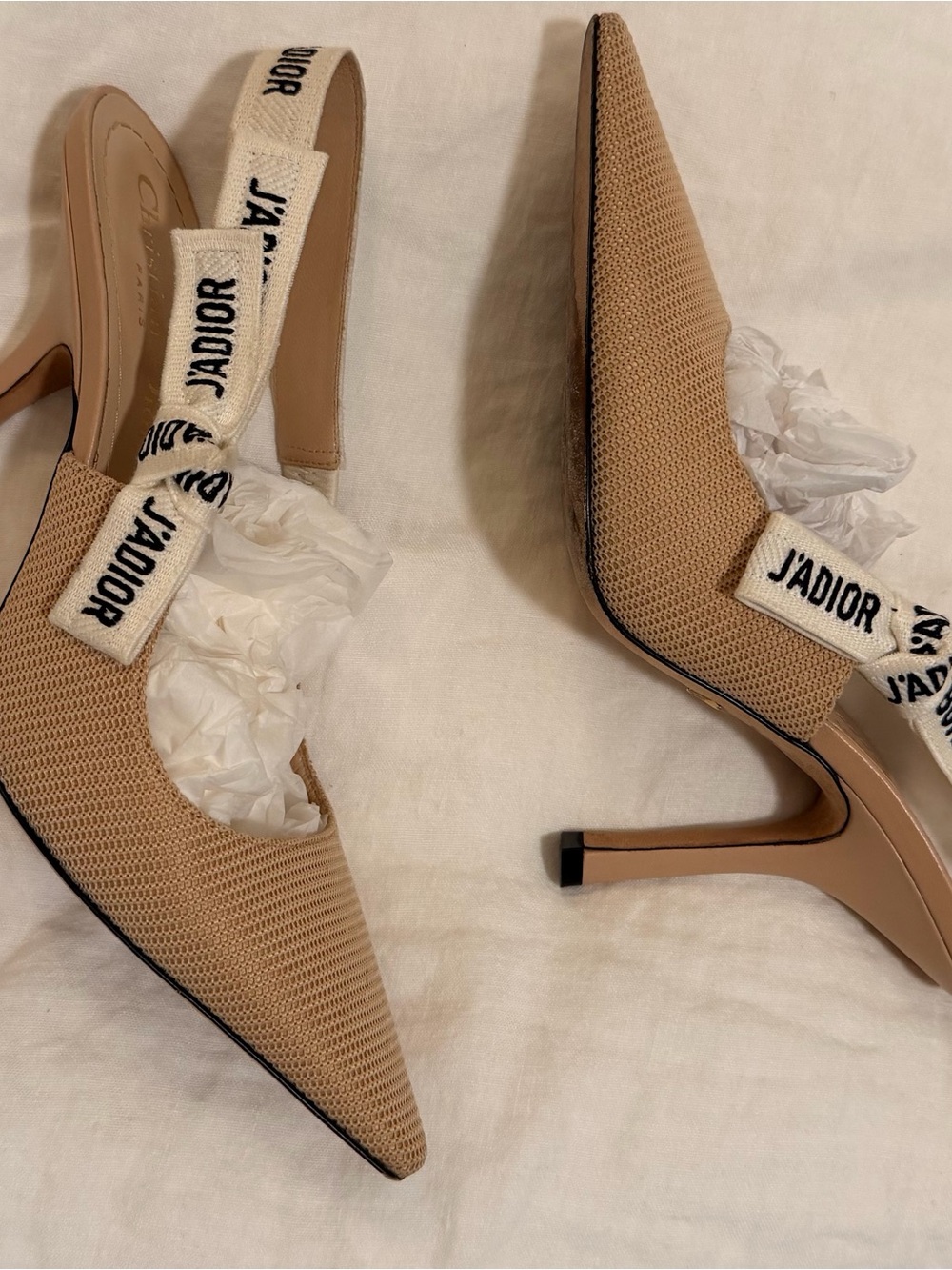Dior Beige Pointed Slingback Heels with J'Adior Canvas Strap